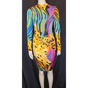 Multicolor Bodycon Dress